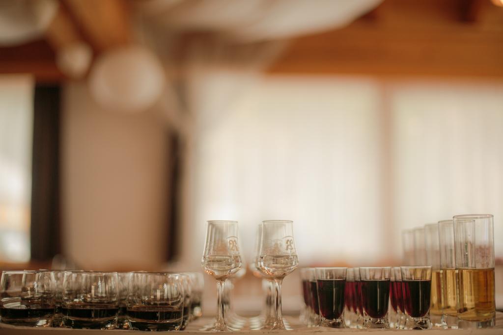 Domacija Vodnik & Apartments Cerklje na Gorenjskem Luaran gambar